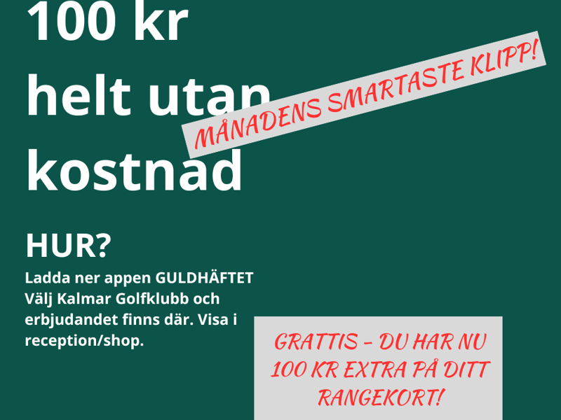 100 kr helt utan kostnad